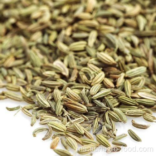 Kualiti Spice Fennel